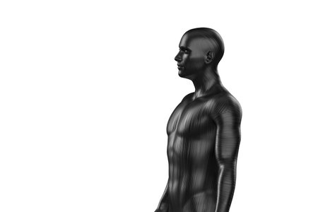 3D illustration of a male black torso on a white background. metal mannequin.の写真素材