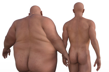 3D render. Athletic and obese naked men stand with their backs against a white background.の写真素材