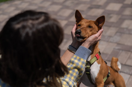 A young beautiful girl hugs a dog on a walk. Non-barking african basenji dog.の写真素材