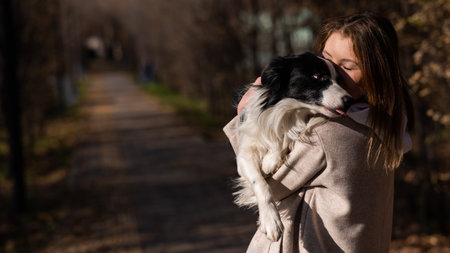 Caucasian woman holding a border collie in her arms while walking in the autumn park. Portrait of a girl with a dog.の写真素材
