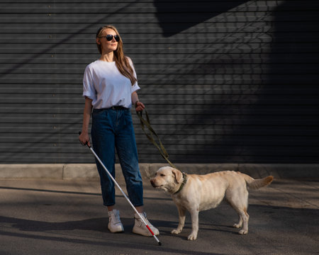 Blind woman walking guide dog outdoors.の写真素材