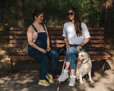 Blind caucasian woman sitting on bench with guide dog and pregnant friendの写真素材