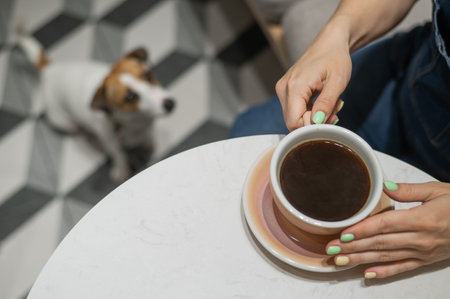 Woman drinking coffee in a dog friendly cafe. Jack Russell sits on the floor in a cafe and waits for...