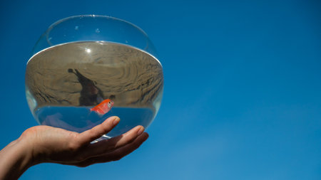 Woman holding round aquarium with goldfish on blue sky backgroundの写真素材