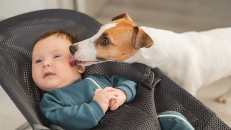 A dog licks the face of a cute three-month-old boy dressed in blue overalls in a baby lounger
