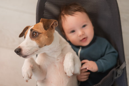 A dog and a cute three-month-old boy dressed in a blue overalls are sitting together in a baby loungerの写真素材
