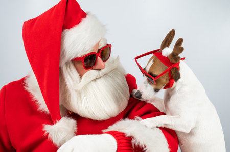 Portrait of santa claus in sunglasses and dog jack russell terrier in rudolf reindeer ears on a white backgroundの写真素材