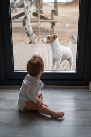 The dog stands at the patio window and asks to go inside the house to the baby boy on the other side of the door. Vertical photoの写真素材