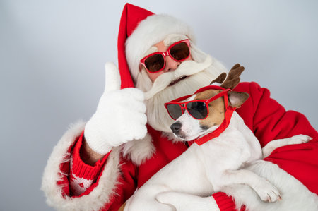 Portrait of santa claus in sunglasses and dog jack russell terrier in rudolf reindeer ears on a white backgroundの写真素材