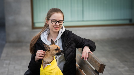 A young Caucasian woman is walking with a Russian toy terrier. The owner with a dog in a jacket sits on a benchの写真素材