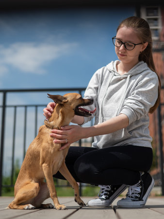 Young Caucasian woman walking with her Russian Toy Terrier dog. Vertical photo