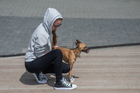 Young Caucasian woman lying on the lawn while walking with a small dogの写真素材