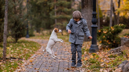 Caucasian boy playing with a dog for a walk in the autumn parkの写真素材