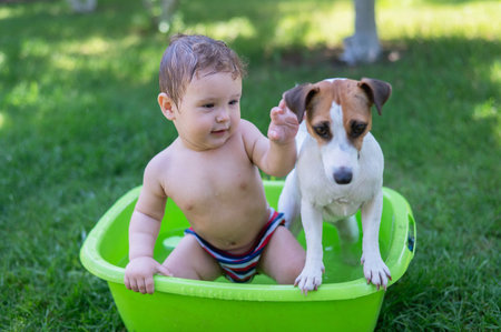 Cute boy bathes in a basin with a Jack Russell terrier dog outdoors in the summerの写真素材