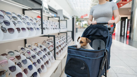 Caucasian woman shopping in a sunglasses store with her Jack Russell terrier dog in a stroller