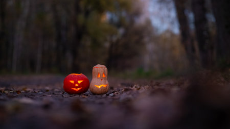 Two jack o latterns for halloween in the woods. Halloween decorationの写真素材