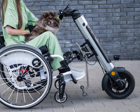 A woman in a wheelchair with a hand-control assist device carries a Spitz merle dog. Electric handbikeの写真素材