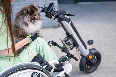 A woman in a wheelchair with a hand-control assist device carries a Spitz merle dog.の写真素材