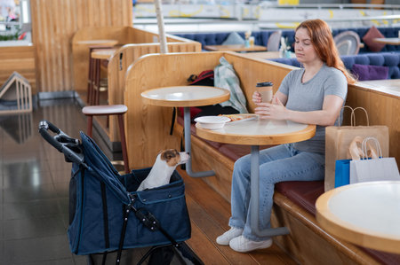 Woman having lunch in a cafe with her dog in a stroller