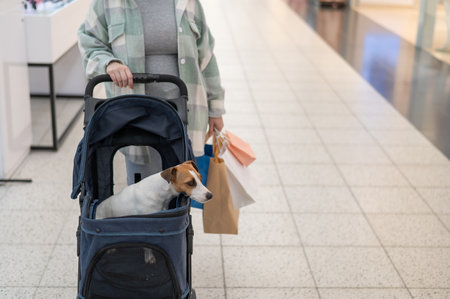 A Caucasian woman is shopping with her Jack Russell Terrier dog in a stroller in a shopping mallの写真素材