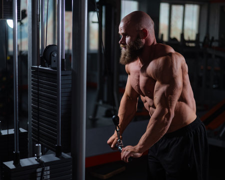 Bald Caucasian Bodybuilder doing heavy triceps exercises with cable