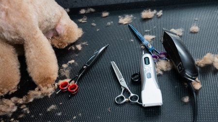 Set of tools for cutting animals in a grooming salonの写真素材