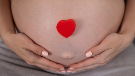 Caucasian pregnant woman holding heart on belly background. Third trimesterの写真素材