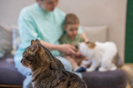 Caucasian woman with her son in a cat cafeの写真素材