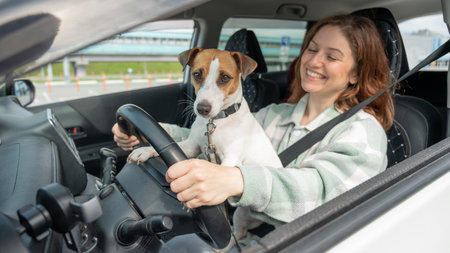 Caucasian woman traveling by car with her dogの写真素材