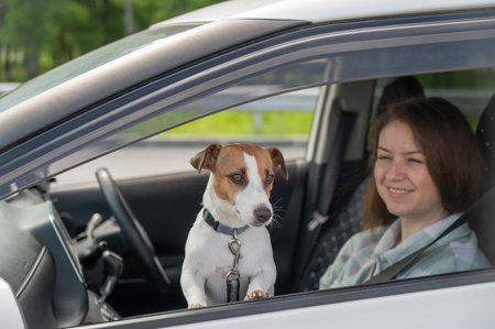 Caucasian woman traveling by car with her dogの写真素材