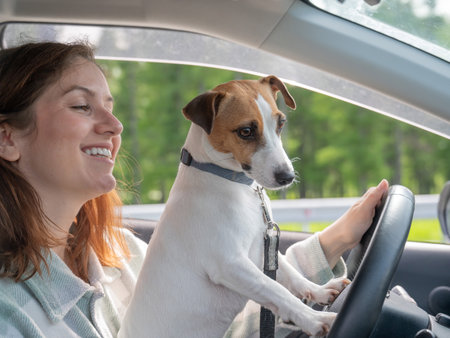 Caucasian woman traveling by car with her dogの写真素材