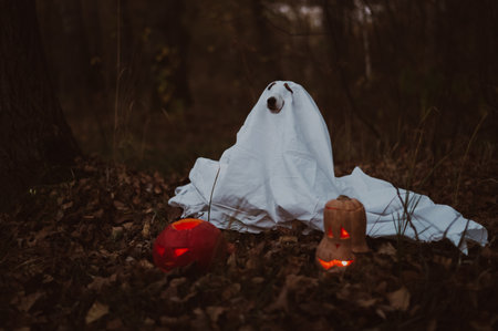 Jack Russell Terrier dog in a ghost costume for Halloween in the woodsの写真素材