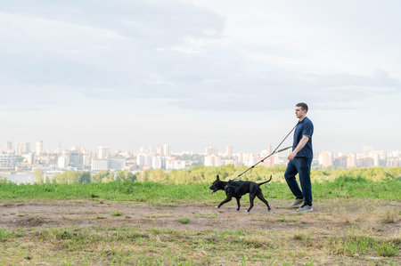 Man walking with pit bull terrier outdoorsの写真素材