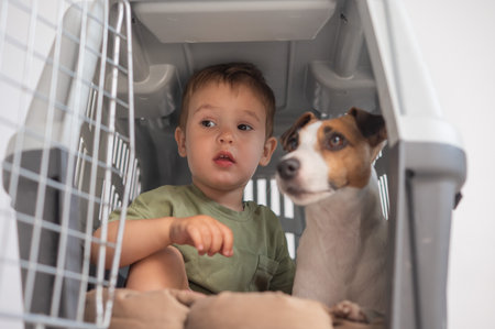 Little child in a cage with a Jack Russell Terrier dogの写真素材