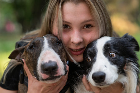 This heartwarming image captures a person joyfully holding two affectionate dogs close to their face. The first dog is a brindle Bull Terrier. The second dog is a charming Border Collieの写真素材