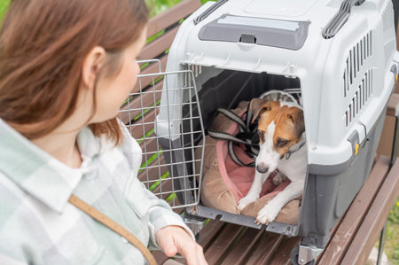 Owner sits on bench with Jack Russell Terrier in cage for safe travelの写真素材