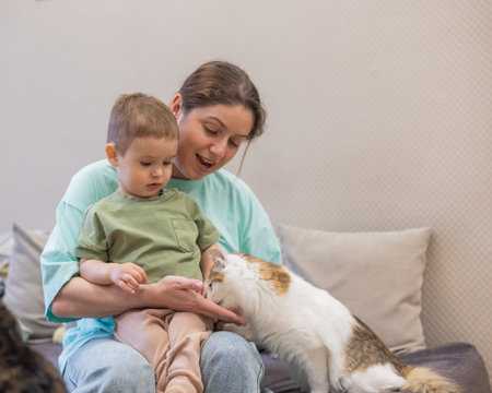 Caucasian woman with her son in a cat cafeの写真素材