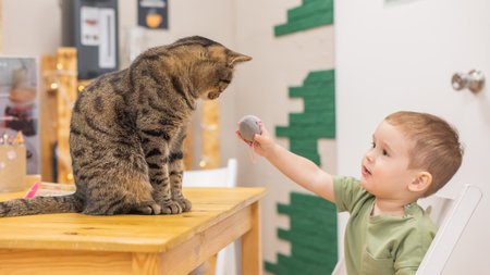 Caucasian little boy in a cat cafeの写真素材