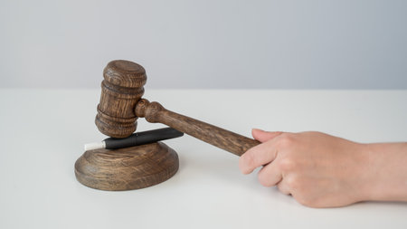 Judges gavel and electronic cigarette. Tobacco heating systemの写真素材