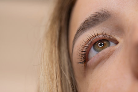 Close-up of a womans eye after eyelash lamination procedureの写真素材