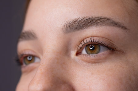 Close-up portrait of a woman after eyelash lamination procedureの写真素材
