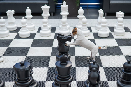 Jack Russell Terrier dog on a chessboard