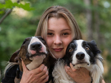 This heartwarming image captures a person joyfully holding two affectionate dogs close to their face. The first dog is a brindle Bull Terrier. The second dog is a charming Border Collieの写真素材
