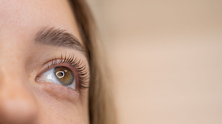 Close-up of a womans eye after eyelash lamination procedure