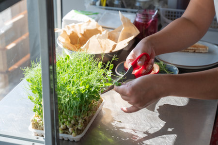 A chef cuts microgreens in a cafeの写真素材