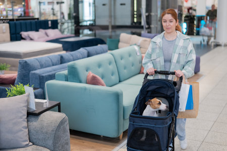 A Caucasian woman is shopping with her Jack Russell Terrier dog in a stroller in a shopping mallの写真素材