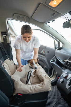 Caucasian woman travels by car with her dog. Jack Russell Terrier in a special car seat