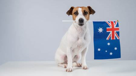 Jack Russell Terrier Dog Holding Flag