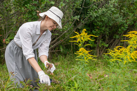 Young woman trimming bushes