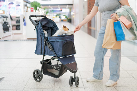Caucasian woman walks through a shopping center with her Jack Russell Terrier dog in a stroller